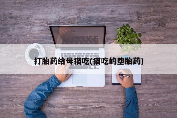 网上怎么购买流产药打胎药给母猫吃(猫吃的堕胎药)