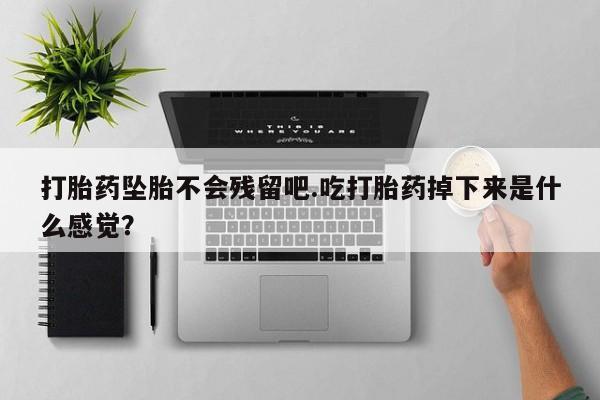 网上怎么购买流产药打胎药坠胎不会残留吧.吃打胎药掉下来是什么感觉？