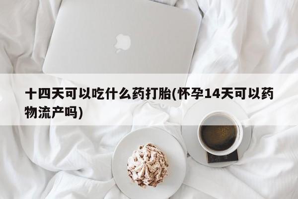 网上怎么购买流产药十四天可以吃什么药打胎(怀孕14天可以药物流产吗)